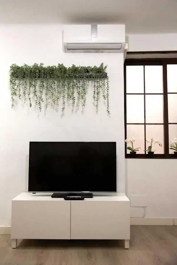 Apartment Holidays2Malaga Lagunillas 3 Bedrooms Downtown Local Area 500Mb Free Wifi